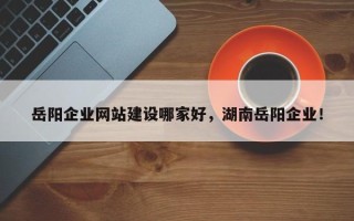 岳阳企业网站建设哪家好，湖南岳阳企业！